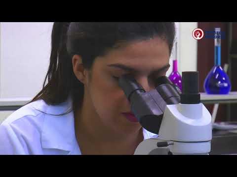 Imagem de Bacharelado em Teologia Vídeo 3