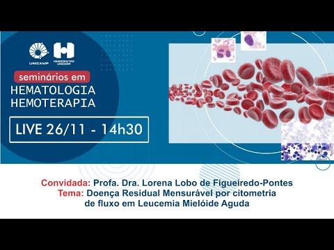 Imagem de Seminario Hemato Vídeo 2