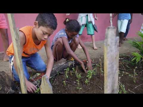Imagem de Escola Municipal Rural de Serra Negra Vídeo 1